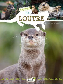 LA LOUTRE P'TIT CURIEUX
