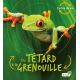 DU TETARD A LA GRENOUILLE