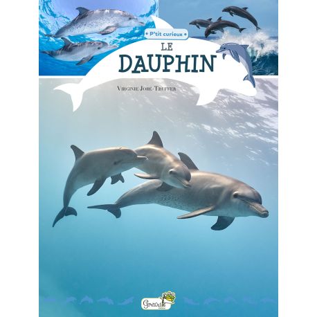 LE DAUPHIN P'TIT CURIEUX