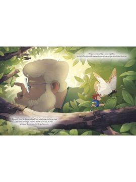 LE DERNIER JOUR DES PAPILLONS