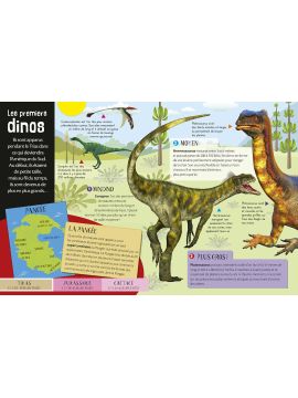 DINOSAURES 3D