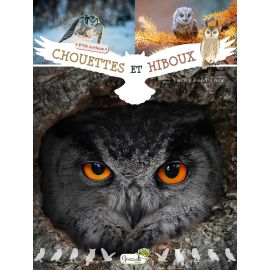 CHOUETTES ET HIBOUX