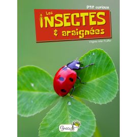 LES INSECTES ET ARAIGNEES