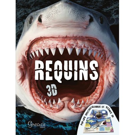REQUINS 3D