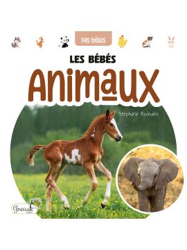 LES BEBES ANIMAUX