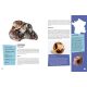 MA PETITE ENCYCLO DES MINERAUX