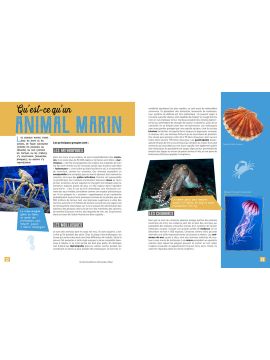MA PETITE ENCYCLO DES ANIMAUX MARINS