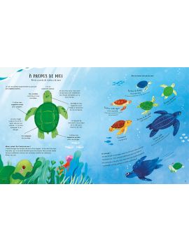 LA VIE SECRETE DES OCEANS