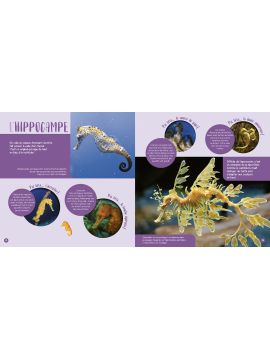 LES ANIMAUX DE LA MER