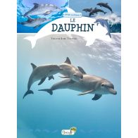 LE DAUPHIN P'TIT CURIEUX