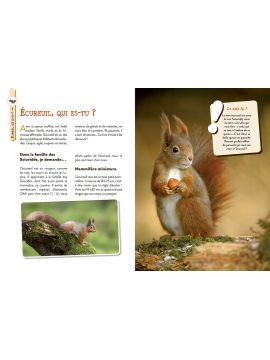 L'ECUREUIL