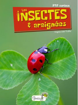 LES INSECTES ET ARAIGNEES