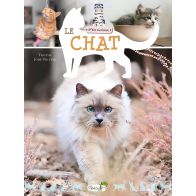 LE CHAT