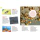 LES INSECTES ET ARAIGNEES