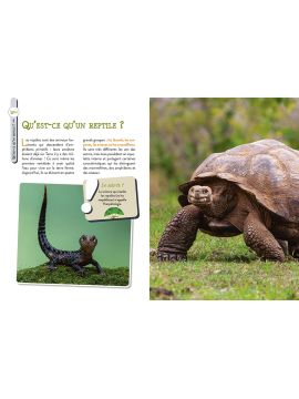 LES REPTILES