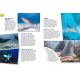 LES REQUINS