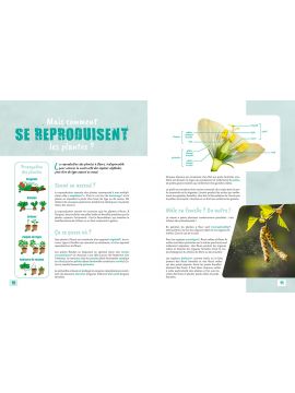 LES PETITS SECRETS DES PLANTES