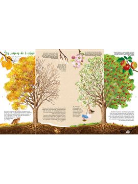 TOUT SAVOIR SUR LES ARBRES