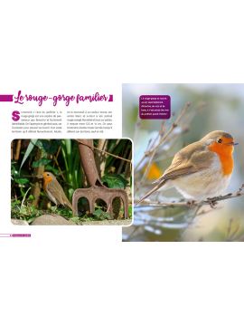 LES OISEAUX DU JARDIN - DECOUVRE LE MONDE EN PHOTOS