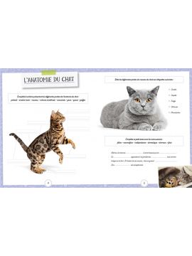 LES CHATS QUIZ JEUX ET P'TITES INFOS