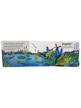 LA GRENOUILLE