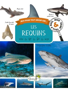 LES REQUINS QUIZ JEUX ET P'TITES INFOS