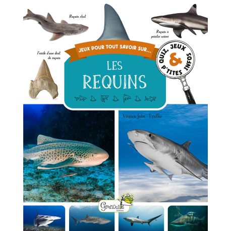 LES REQUINS QUIZ JEUX ET P'TITES INFOS