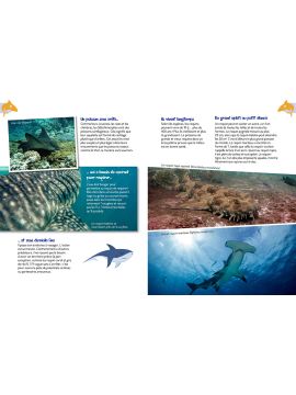 LES REQUINS