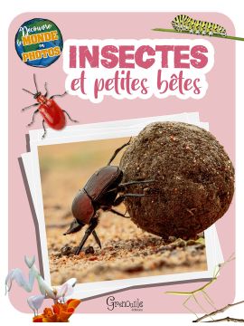 INSECTES ET PETITES BÊTES DECOUVRE LE MONDE EN PHOTOS