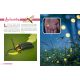 INSECTES ET PETITES BÊTES DECOUVRE LE MONDE EN PHOTOS