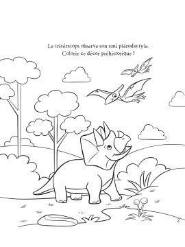 DÉCOUVRE LES DINOSAURES BLOC COLORIAGE ET ACTIVITES + 5 CRA