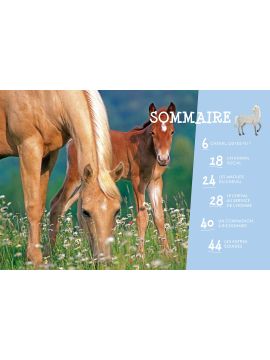 LE CHEVAL