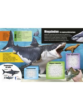 REQUINS 3D