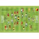 MA PREMIERE ENCYCLOPEDIE DU SPORT
