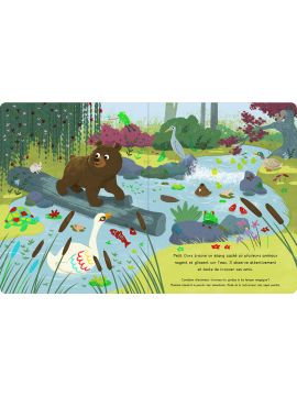 AMIS DE LA FORET