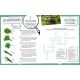 LE JARDIN QUIZ JEUX ET P'TITES INFOS