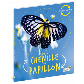 DE LA CHENILLE AU PAPILLON