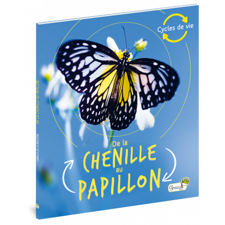DE LA CHENILLE AU PAPILLON