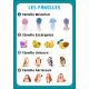 ATTRAPE-FAMILLES JEU 7 FAMILLES