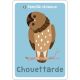 ATTRAPE-FAMILLES JEU 7 FAMILLES