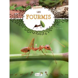 LES FOURMIS