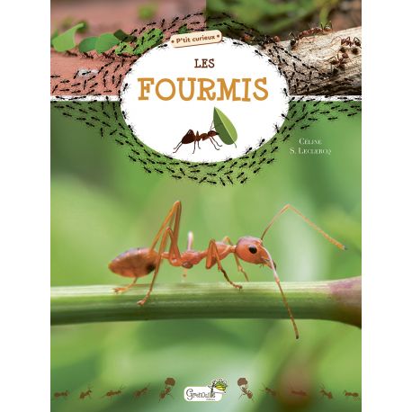 LES FOURMIS