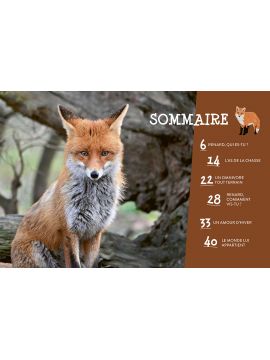 LE RENARD