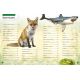 MON ENCYCLOPEDIE DES ANIMAUX