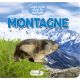 MONTAGNE - CACHE CACHE DANS LA NATURE