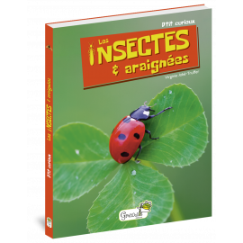 LES INSECTES ET ARAIGNEES
