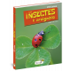 LES INSECTES ET ARAIGNEES
