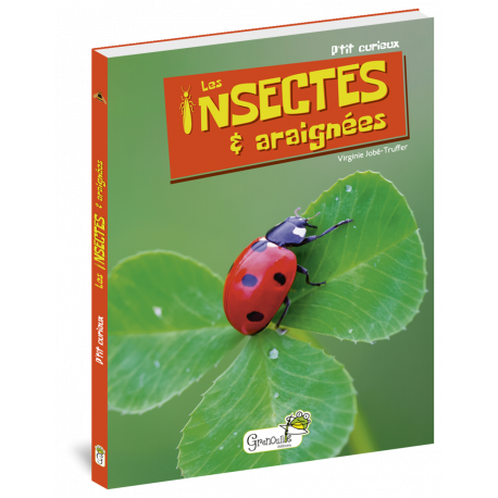 LES INSECTES ET ARAIGNEES