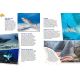 LES REQUINS