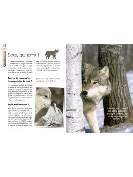 LE LOUP